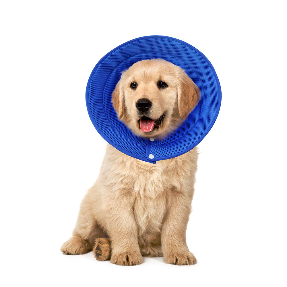 Pet Dog Cat Elizabethan Collar Adjustable Cone Mesh Recovery M-Black